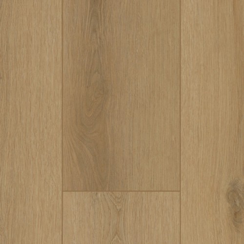 Firmfit 6502