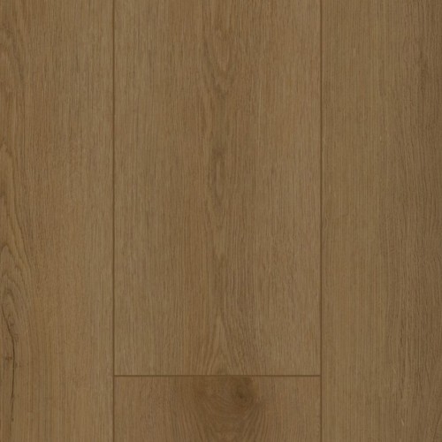Firmfit 6503