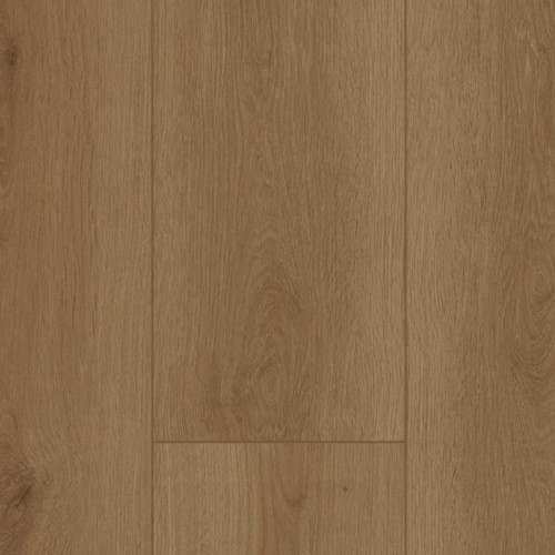 Firmfit 6700