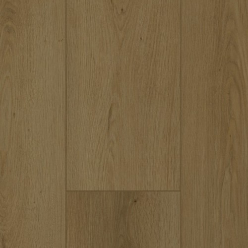 Firmfit 6702