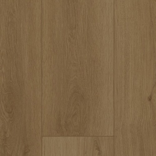 Firmfit 6703